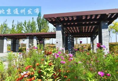 面積超400畝！通州又添休閑新地標，城市綠肺開門迎客