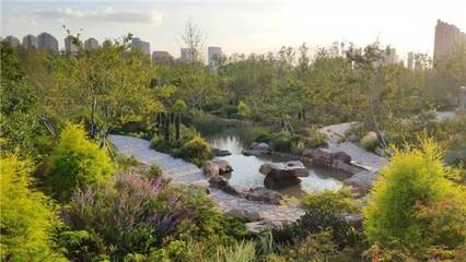 上海“見縫插綠”新增55座城市公園，公園總數達406座，市民暢享綠色福祉