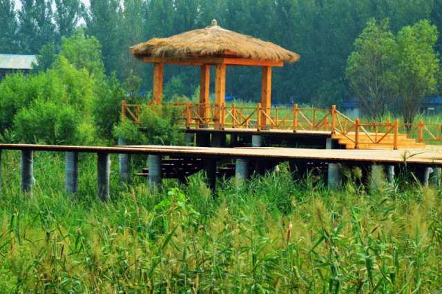 自駕玩轉河南，帳篷露營好去處——這些公園露營地你打卡了嗎？